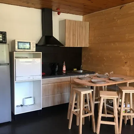 Le Chitelet 215, Vue Pistes * La Bresse