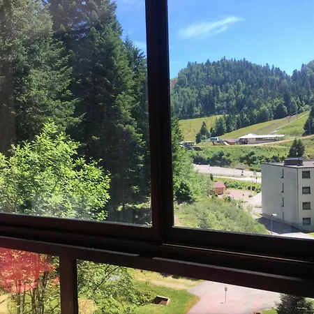 Apartamento Le Chitelet 215, Vue Pistes La Bresse